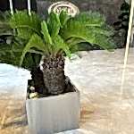 WhatsApp Image 2023-06-14 at 11.41.55 (1)